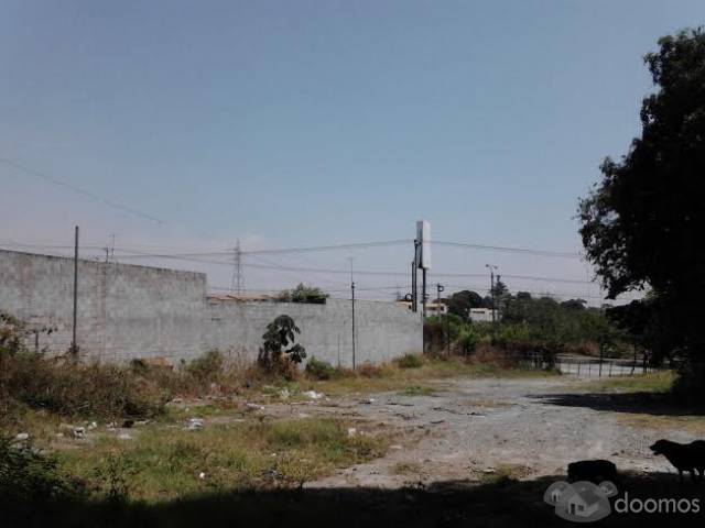 Alquilo terreno frente a Ciudad Dorada Santo Tomás - 1