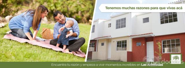 Urge Vender - 1