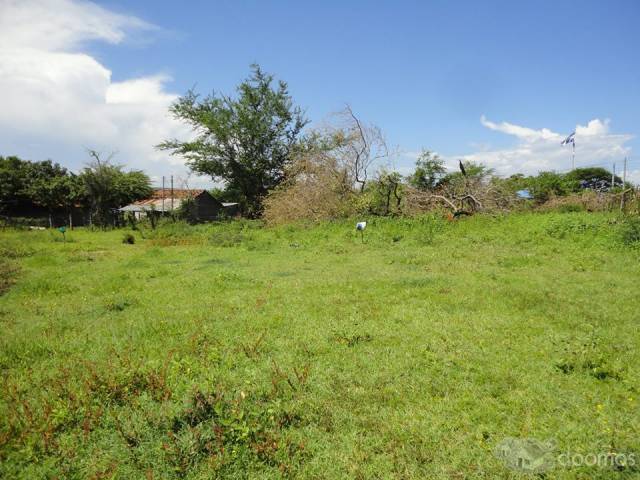 Vendo dos Terrenos - 1