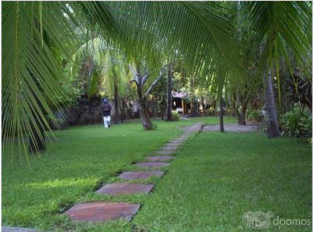 SE ALQUILLA O VENDE - 6