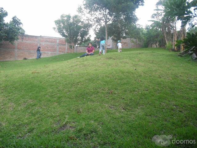 VENTA DE TERRENO DE SANTO TOMAS - 1