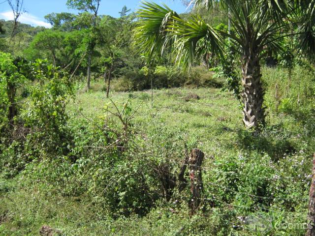 venta de terreno - 1