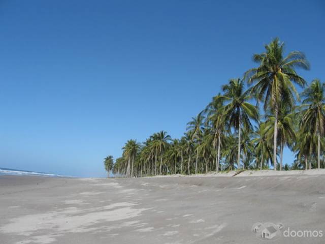 Vendo precioso terreno de playa en Corral de Mulas - 1