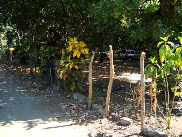 GANGA TERRENO para quinta, 5,000v2 SAN LUIS TALPA, La PAZ $15,000 - 1