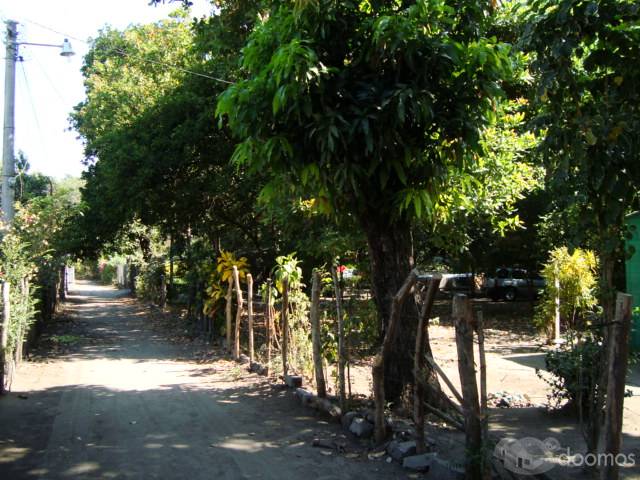 GANGA  TERRENO para quinta, 5,000v2  SAN LUIS TALPA, La PAZ $15,000 - 2