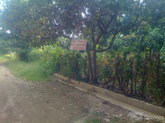 COLONIA SANTA MARIA (COSTADO SUR DE UNIVERSIDAD NACIONAL) - 1