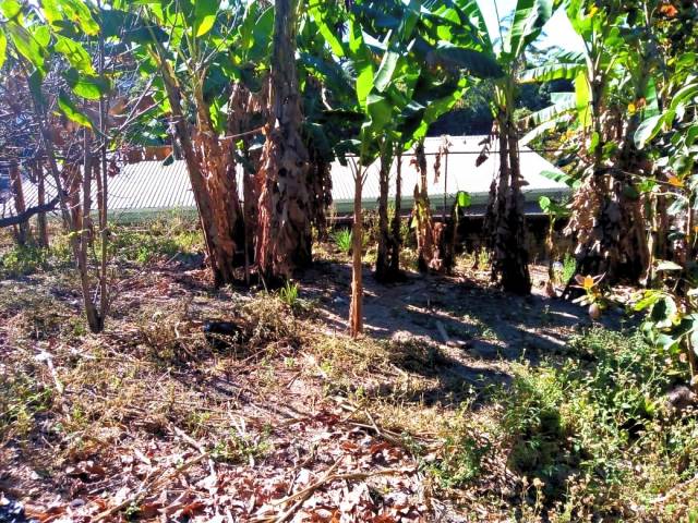 SE VENDE TERRENO. - 2
