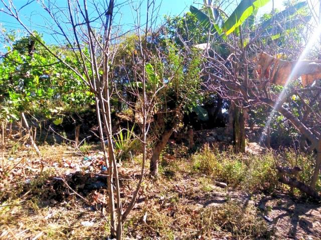 SE VENDE TERRENO. - 3
