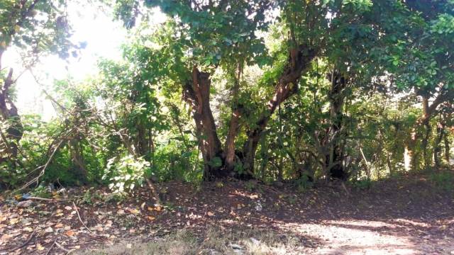 SE VENDE TERRENO. - 5