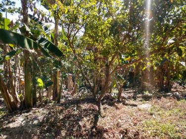 Se vende terreno a 5 minutos de boulevard constitucion - 1