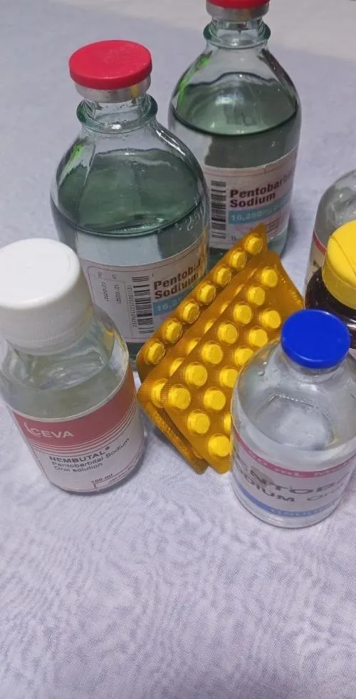 cianuro de potasio, Nembutal, opioides, Farxiga, Botox, OxyContin, fentanilo, cocaína, trazodona, metadona, plumas de Cosentyx, naproxeno, Viagra, Otezla, mefedrona, tramadol, Biskorycin, Ofcipene - 3